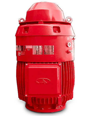 TEFC Fire Pump Motor