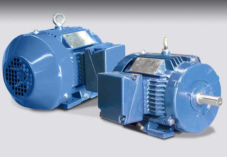 NEMA Premium Horizontal Motors